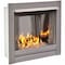 Duluth Forge Ventless Stainless Outdoor Gas Fireplace Insert DF450SS-L - alternate 1